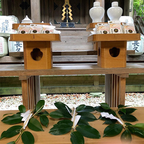 藤白神社で行われたマスクチャーム(アマビエ)のご祈祷